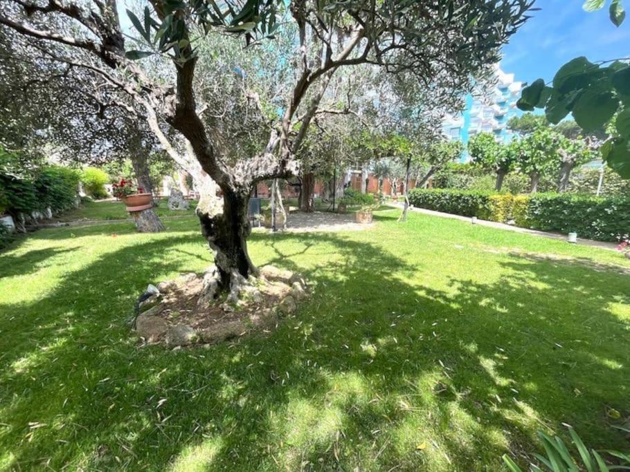 Apartamento Platja D 'Aro, 5 Camas 2 Dormitorios 普拉加德阿罗 外观 照片
